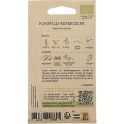 Kokopelli Radis de tous Les Mois 