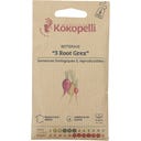 Betterave en Mélange de Couleurs 