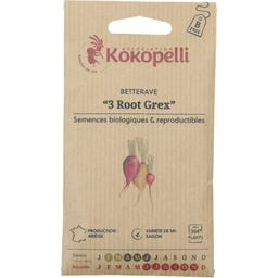 Betterave en Mélange de Couleurs 