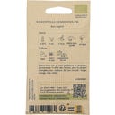 Betterave en Mélange de Couleurs 