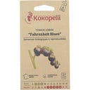 Tomate-Cerise Indigo Mi-Saison 