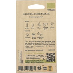 Tomate-Cerise Indigo Mi-Saison 