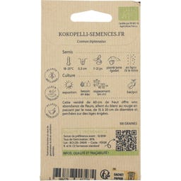 Kokopelli Bio Cosmos  Schmuckkörbchen 