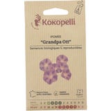 Kokopelli Praktvinda &rdquo;Grandpa Ott&rdquo;, Eko