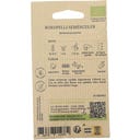 Kokopelli Praktvinda ”Grandpa Ott”, Eko