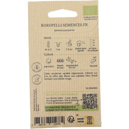 Kokopelli Praktvinda ”Grandpa Ott”, Eko