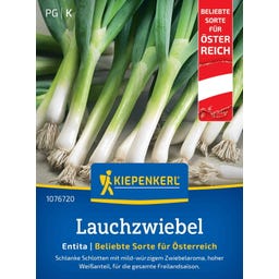 Kiepenkerl Lauchzwiebel Entita - 1 Pkg