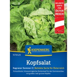 Kiepenkerl Kopfsalat Kagraner Sommer 2 - 600 Korn