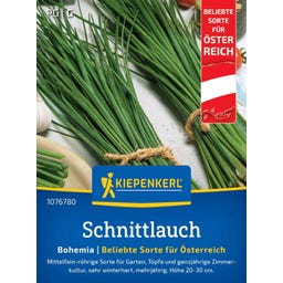 Kiepenkerl Schnittlauch Bohemia - 1 Pkg