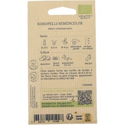 Kokopelli Ciboulette Commune Bio