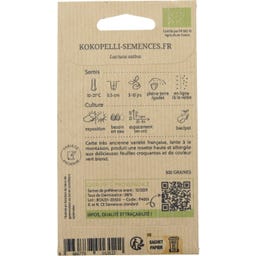 Biologische Romeinse Sla 