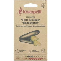 Zucchini ”Black Beauty” (Milanosort), Eko