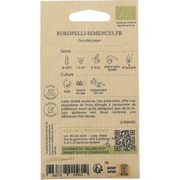 Zucchini ”Black Beauty” (Milanosort), Eko