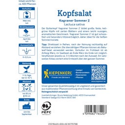 Kiepenkerl Kopfsalat Kagraner Sommer 2 - 600 Korn