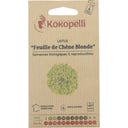Kokopelli Organic Lettuce 