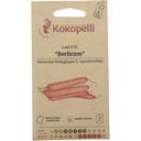 Kokopelli Röd Morot ”Berlicum”, Eko