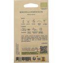 Kokopelli Röd Morot ”Berlicum”, Eko