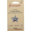 Kokopelli Biologische Bernagie - Blauw