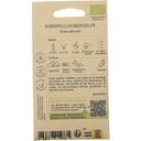 Kokopelli Morot ”Dolciva”, Eko