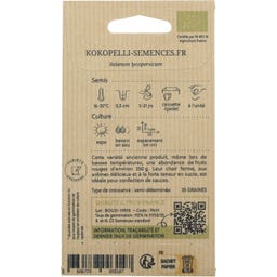 Kokopelli Röd Tomat ”Marmande”, Eko