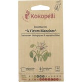 Kokopelli Borage - vit, Eko
