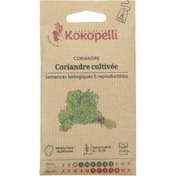 Kokopelli Koriander, Eko