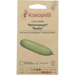 Kokopelli Biologische Struikkomkommer 