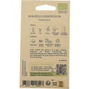 Kokopelli Biologische Struikkomkommer 