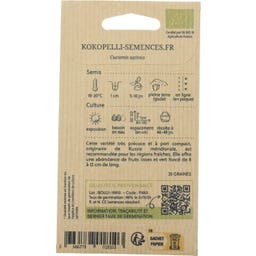 Kokopelli Biologische Struikkomkommer 