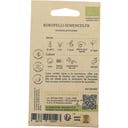 Kokopelli Dill ”Greensleeves”, Eko