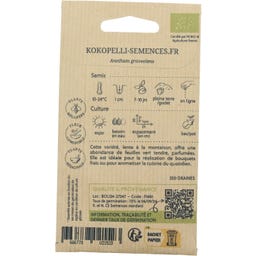 Kokopelli Dill ”Greensleeves”, Eko