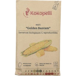 Kokopelli Gul Sockermajs ”Golden Bantam”, Eko