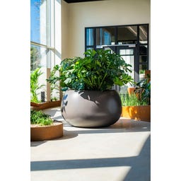 Pflanzgefäß Mero aus Fiberglas  - grauweiss - 1200 x 700 mm