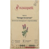 Kokopelli Bio Inkarnatklee