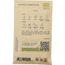 Kokopelli Sockermajs ”Inka-Regnbåge”, Eko