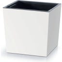 Prosperplast Vaso Urbi Square Low - 