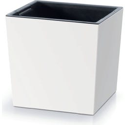 Prosperplast Vaso Urbi Square Low - 