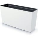 Prosperplast Blumenkasten Urbi Case M - Weiss