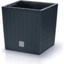 Prosperplast Rato Low cvetlični lonec, antracit - 20x20 cm