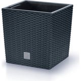 Prosperplast Rato Low cvetlični lonec, antracit