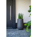 Pfanzgefäß Lora aus Fiberglas - beigegrau - 1200 x 600 mm