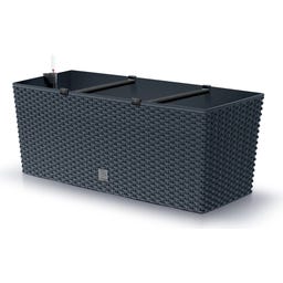 Blumentopf Rato Case inkl. Bewässerungssystem - Anthrazit - L 51,4 cm