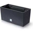 Blumenkasten Rato Case inkl. Pflanzeinsatz - Anthrazit