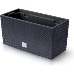 Rato Case cvetlično korito z vložkom za rastline, antracitna - L 39,5 cm