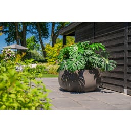 Pfanzgefäß Lora aus Fiberglas - hellelfenbein - 400 x 800 mm