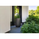 Pfanzgefäß Lora aus Fiberglas - hellelfenbein - 400 x 800 mm