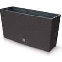 Bloembak Rato Case M met Planteninzet - 77 x 23,5 cm - Bruin