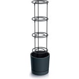 Anzuchttopf "Home Grower" f&uuml;r Tomaten inkl. Rankhilfe - Anthrazit