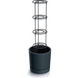 Maceta de Cultivo "Home Grower" para Tomates con Soporte para Trepadoras - Antracita