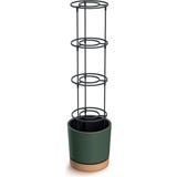 Anzuchttopf "Home Grower" f&uuml;r Tomaten inkl. Rankhilfe - Gr&uuml;n